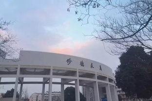 卓越医师 成长的摇篮
