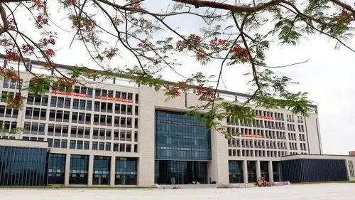 最新 广东5所新建高校 校区 今年招生 在家门口就能读研